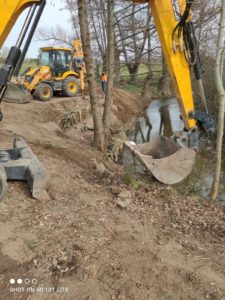 BP AP Stabilisation de berges