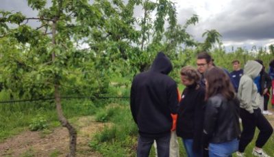 2023-05-11 Ferme Milles fruits PH5