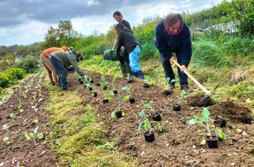 2024 Espace Test Justine7