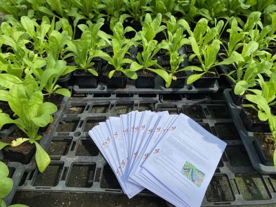 Plantes+livrets Plantes+livrets