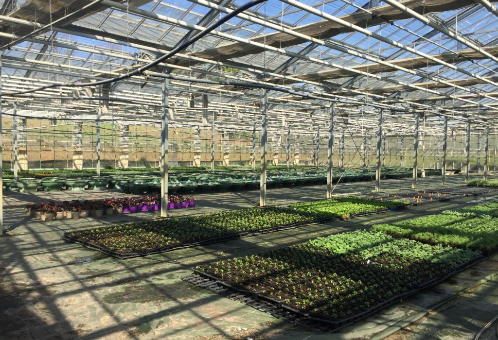 Serres de production