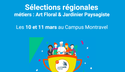 WorldSkills Reseaux